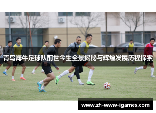 青岛海牛足球队前世今生全景揭秘与辉煌发展历程探索